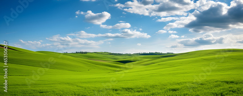 Beautiful spring natural panorama of a field of young green wheat on the hills against a blue sky with clouds