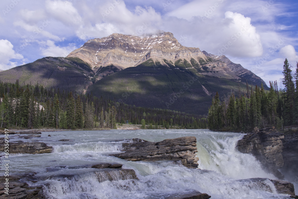 Athabasca Falls in the Spring