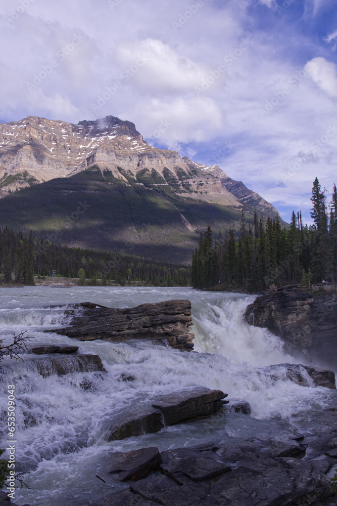 Athabasca Falls in the Spring