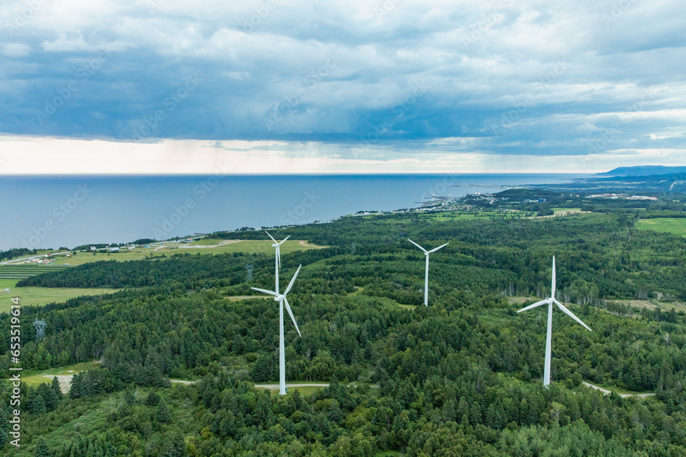vue en hauteur d'un champ d'éoliennes dans une forêt en bord de mer lors d'une journée ennuagée d'été
