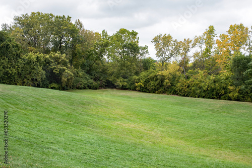 Empty Rolling Grassland Surrounded by Trees with Cloudy Sky