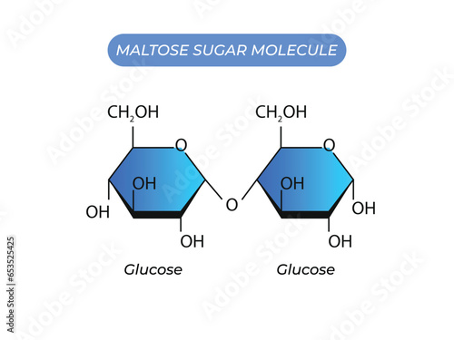 Maltose Sugar Molecule. Glucose And Glucose