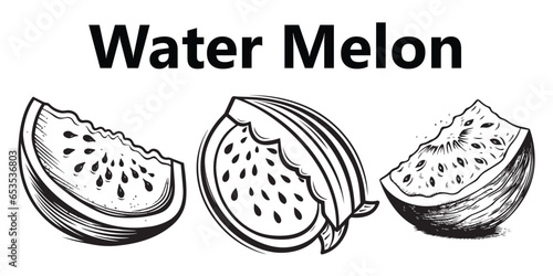 Fruits and vegetables Line art watermelon coloring page vector illustration