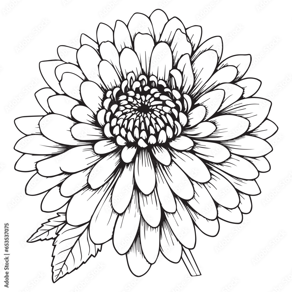 Black and white dahlia Flower line art coloring page vector illustration
