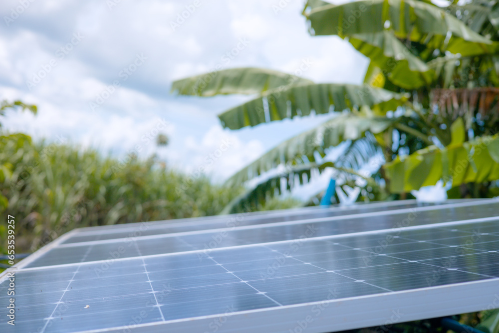 Fototapeta premium Solar panel . Green banana tree background and sky. Clean. Alternative energy concept.