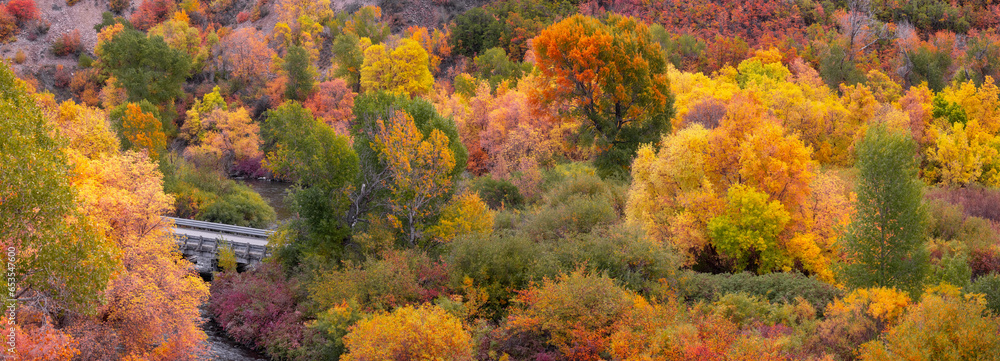 Scenic Provo canyon landscape with colorful fall foliage in Utah Scenic Provo canyon landscape with colorful fall foliage in Utah