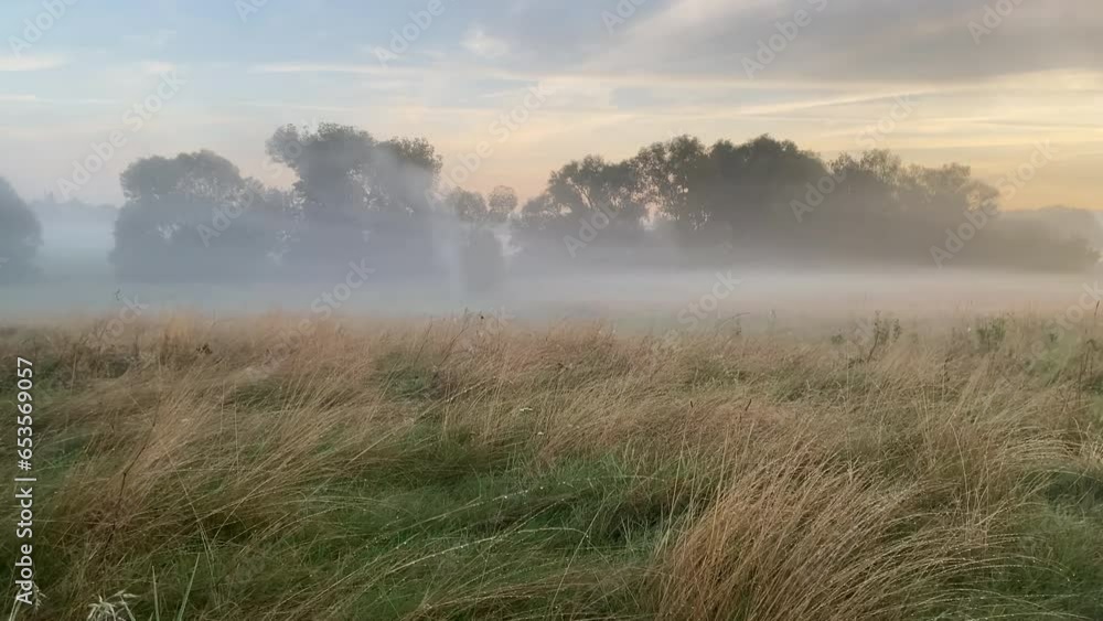Walking in misty morning fog landscape with high grass on meadow and tree. Czech tranquil landscape background Walking in misty morning fog landscape with high grass on meadow and tree. Czech tranquil landscape background