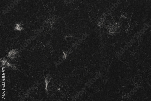 Animal white wool on black clothes background texture. close up of cat hair on clothes