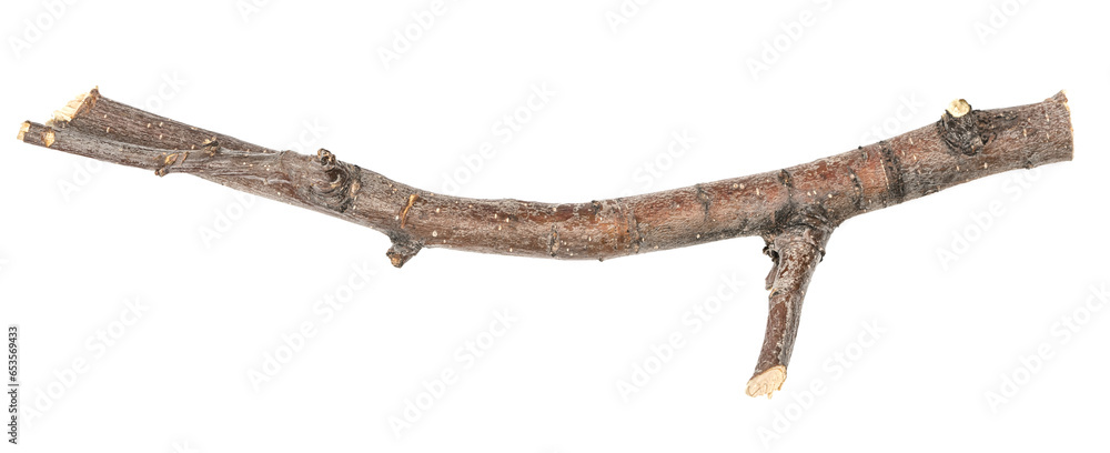 Dry tree twig and branch with knots isolated white background. Dry brushwood. stick tree. pieces of broken wood plank. Dry tree twig and branch with knots isolated white background. Dry brushwood. stick tree. pieces of broken wood plank.