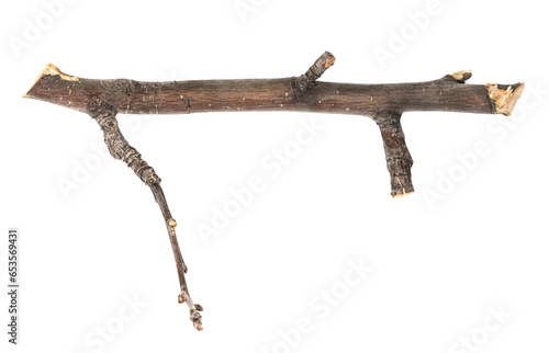 Dry tree twig and branch with knots isolated white background. Dry brushwood. stick tree. pieces of broken wood plank.