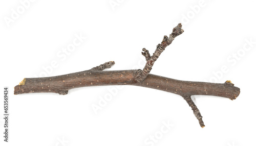 Dry tree twig and branch with knots isolated white background. Dry brushwood. stick tree. pieces of broken wood plank.