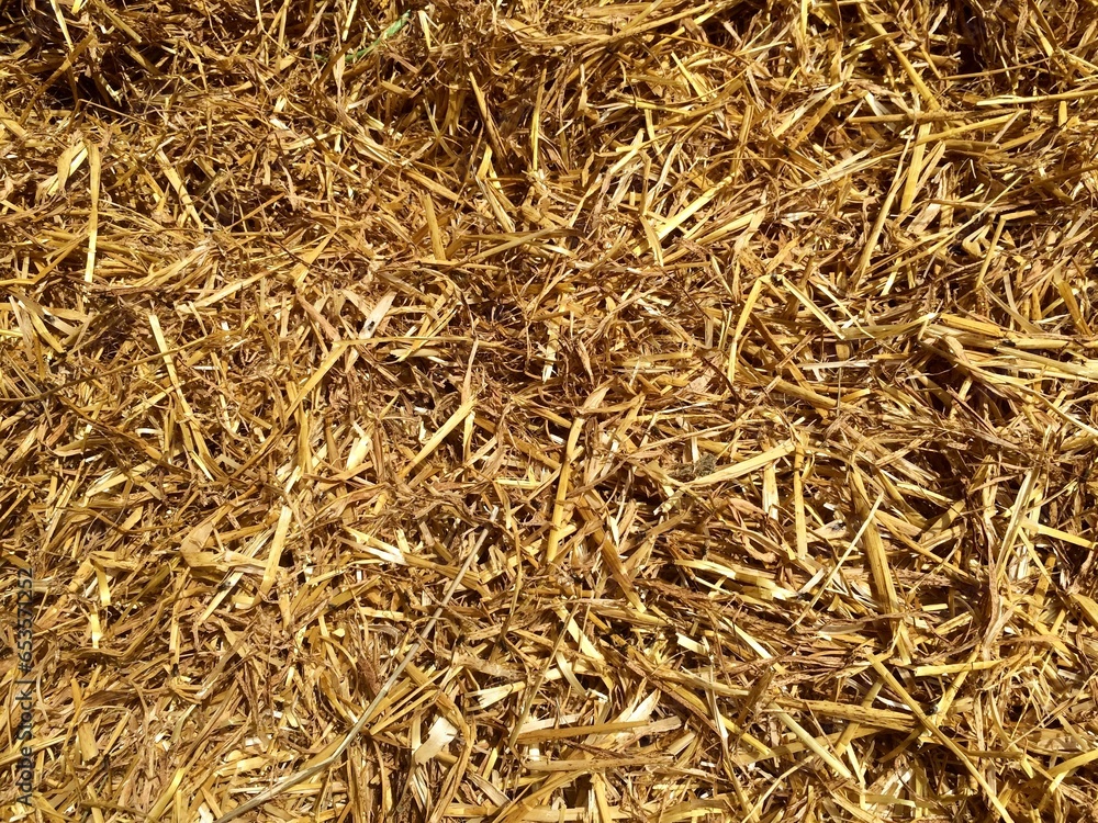 close up of straw