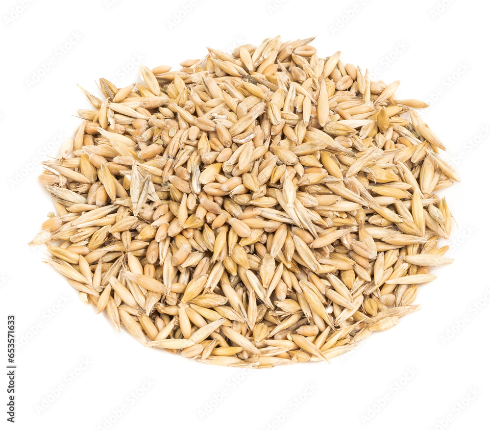 Cereal seeds isolated on white background. pile oats, wheat, barley close-up Cereal seeds isolated on white background. pile oats, wheat, barley close-up