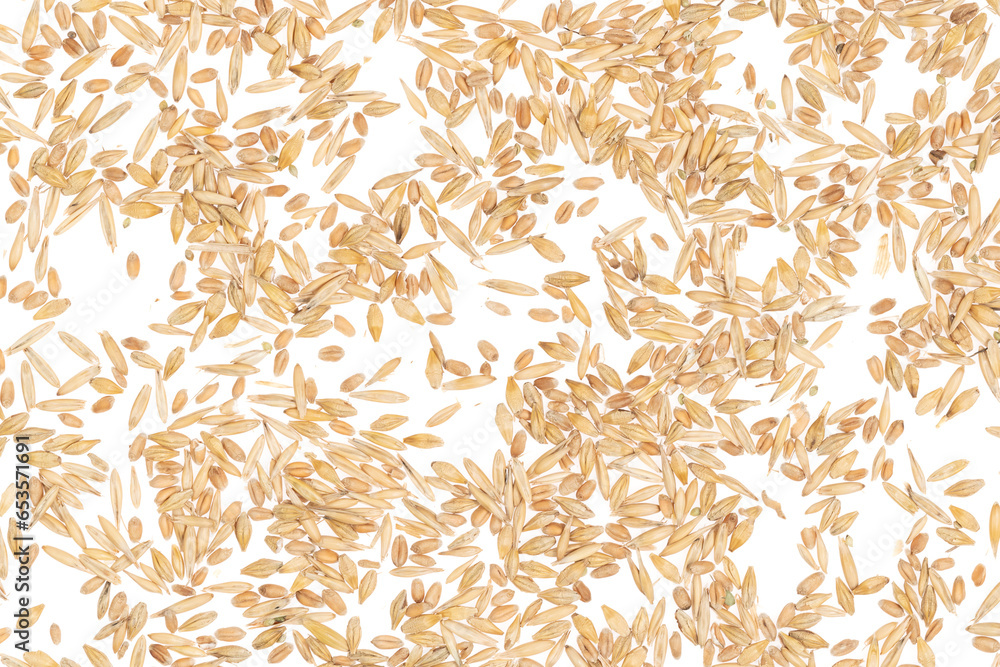 Cereal seeds isolated on white background. pile oats, wheat, barley close-up Cereal seeds isolated on white background. pile oats, wheat, barley close-up