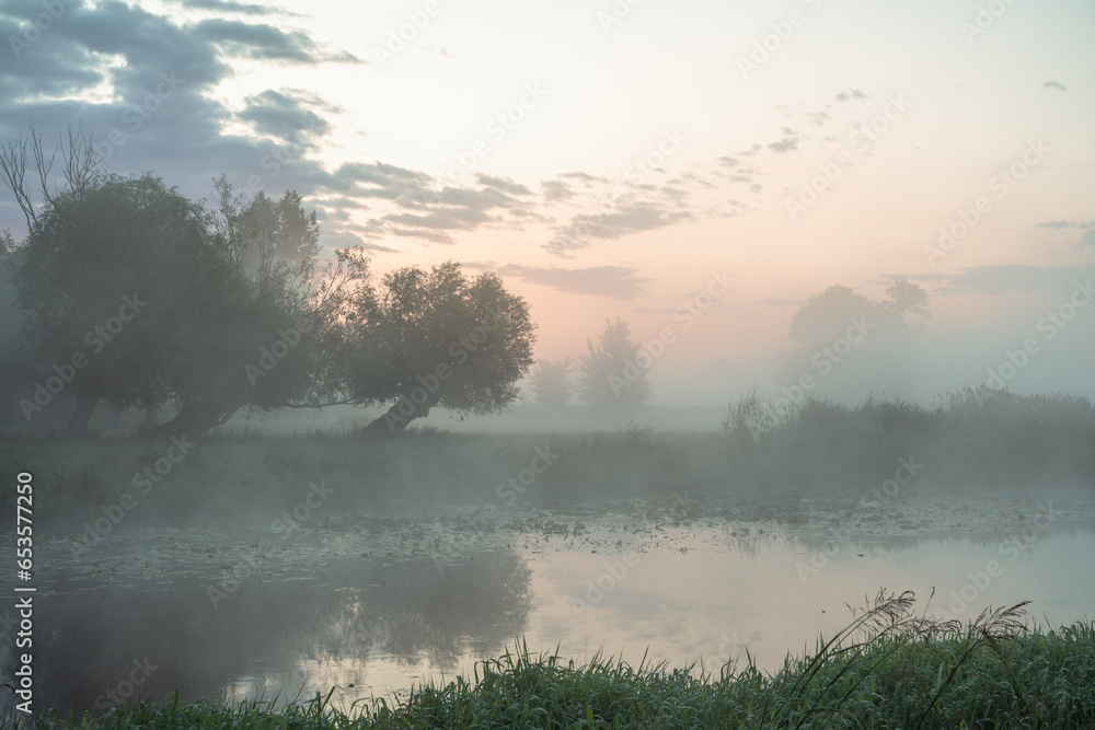 Mglisty świt nad nizinnaą rzeką. Ner o świcie