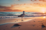 A bird sitting on the beach at sunset