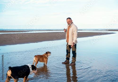 Cheerful pensioner with English bulldogs talking to the dogs in the middle of the puddle. Dog training. Happy time and travel with friends, dogs, family.  Free time in retirement. Lifestyle concept #653599698
