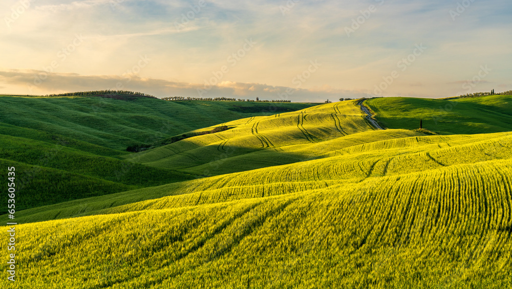 Naklejka premium Hills of Tuscany. Val d'Orcia landscape in spring. Cypresses, hills and green meadows
