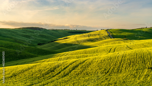 Hills of Tuscany. Val d Orcia landscape in spring. Cypresses  hills and green meadows