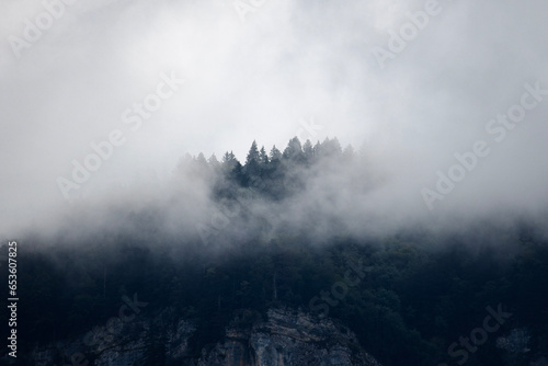 fog in the mountains © Sndro