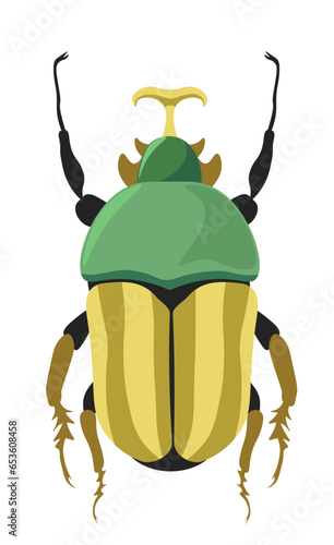 Bug fruit chafer or flower scarabs species vector