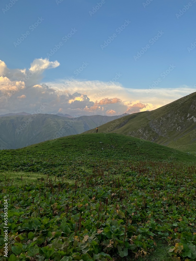 Fototapeta premium landscape in the morning