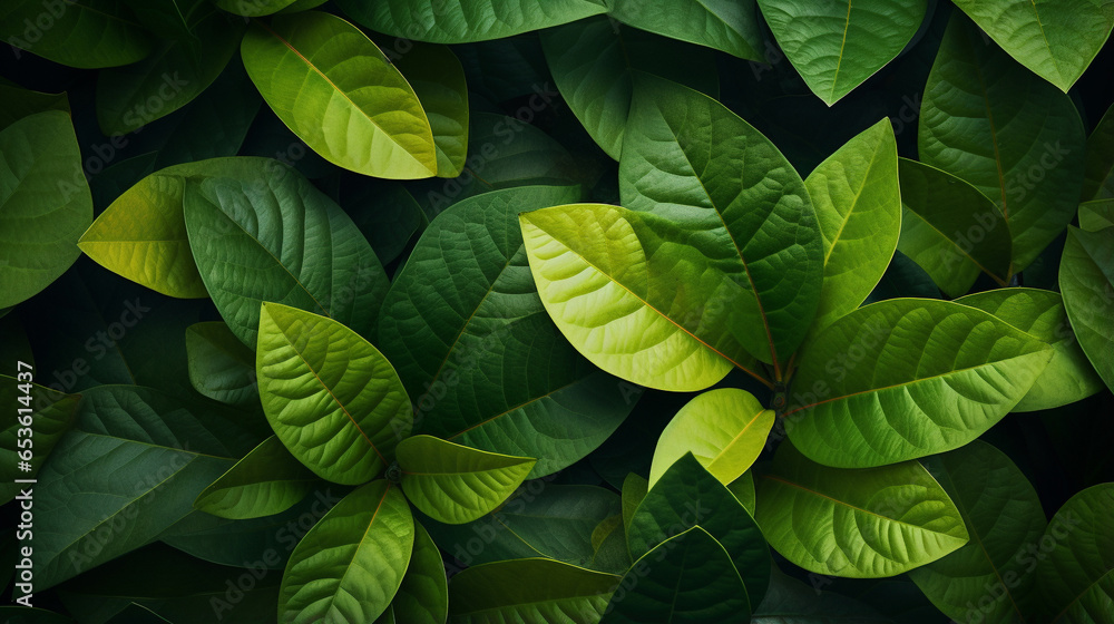 Macro leaves background Macro leaves background