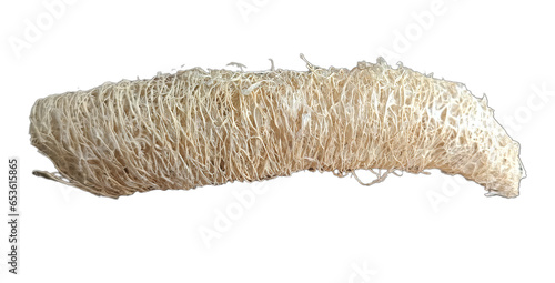 Luffa isolated on white background. Clipping path included.