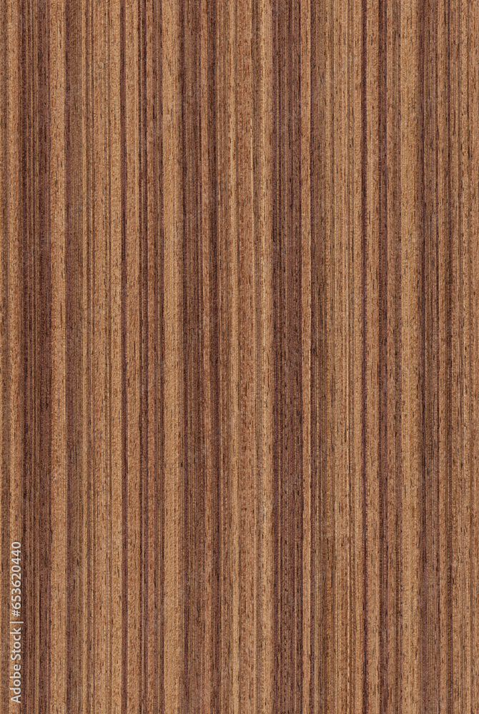 Fototapeta premium Texture of walnut (high-detailed wood texture series)