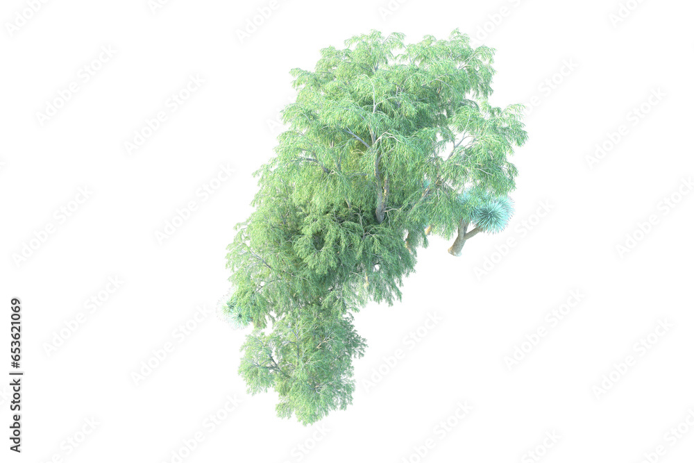 Naklejka premium African forest isolated on transparent background. 3d rendering - illustration