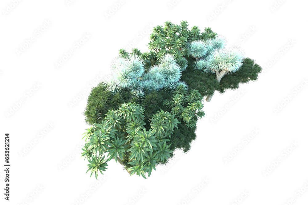African forest isolated on transparent background. 3d rendering - illustration African forest isolated on transparent background. 3d rendering - illustration
