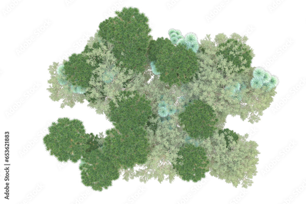 African forest isolated on transparent background. 3d rendering - illustration African forest isolated on transparent background. 3d rendering - illustration