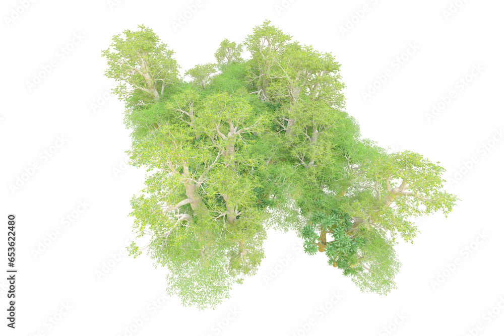 Fototapeta premium African forest isolated on transparent background. 3d rendering - illustration