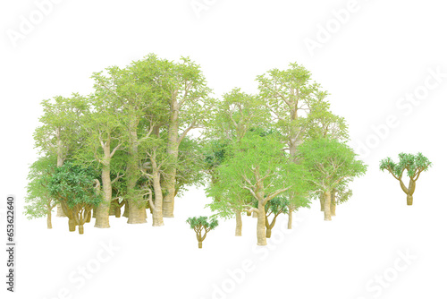 African forest isolated on transparent background. 3d rendering - illustration