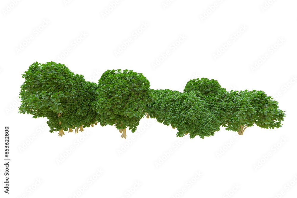 Fototapeta premium African forest isolated on transparent background. 3d rendering - illustration