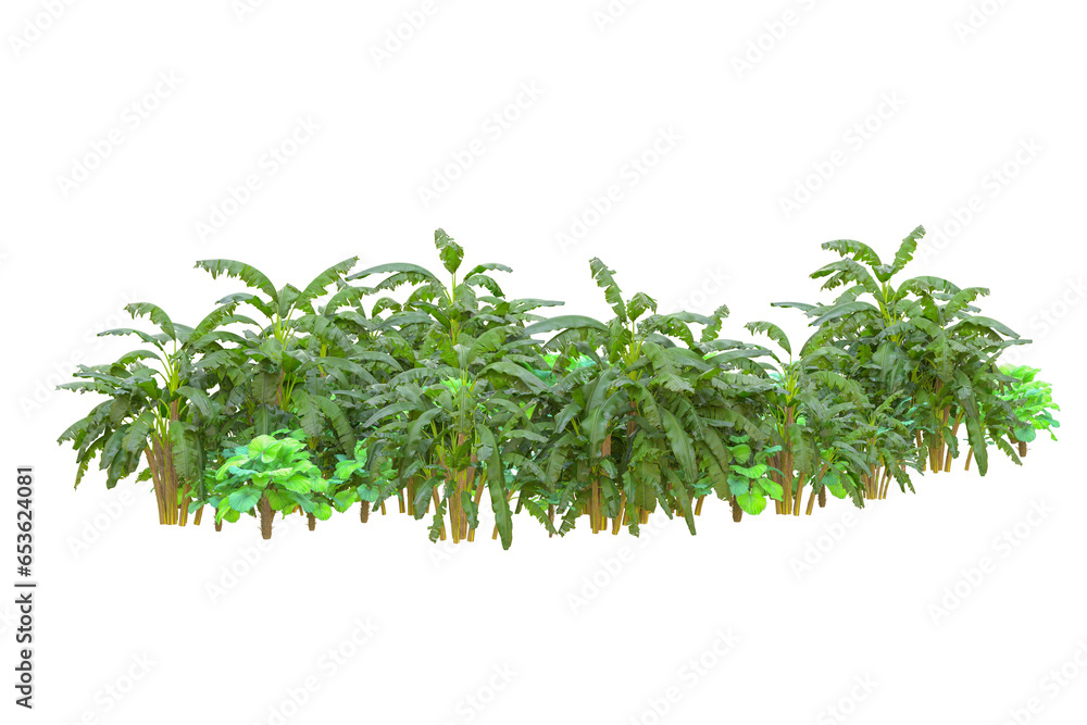 Tropical forest isolated on transparent background. 3d rendering - illustration Tropical forest isolated on transparent background. 3d rendering - illustration