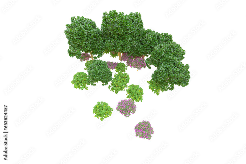 Tropical forest isolated on transparent background. 3d rendering - illustration Tropical forest isolated on transparent background. 3d rendering - illustration