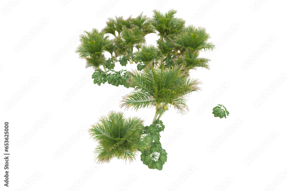 Fototapeta premium Tropical forest isolated on transparent background. 3d rendering - illustration