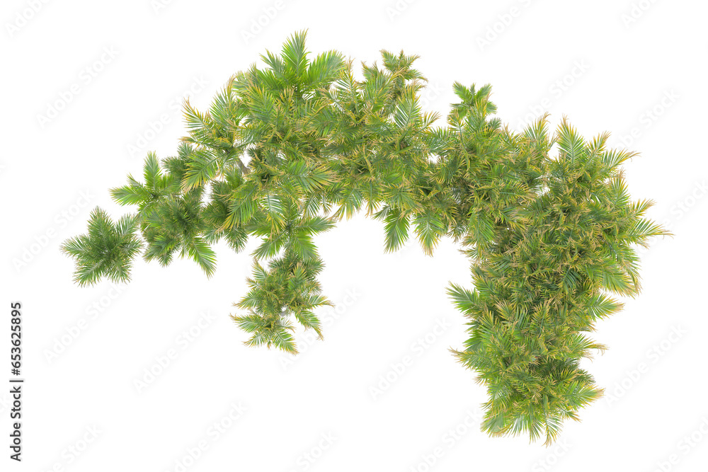 Fototapeta premium Tropical landscape isolated on transparent background. 3d rendering - illustration