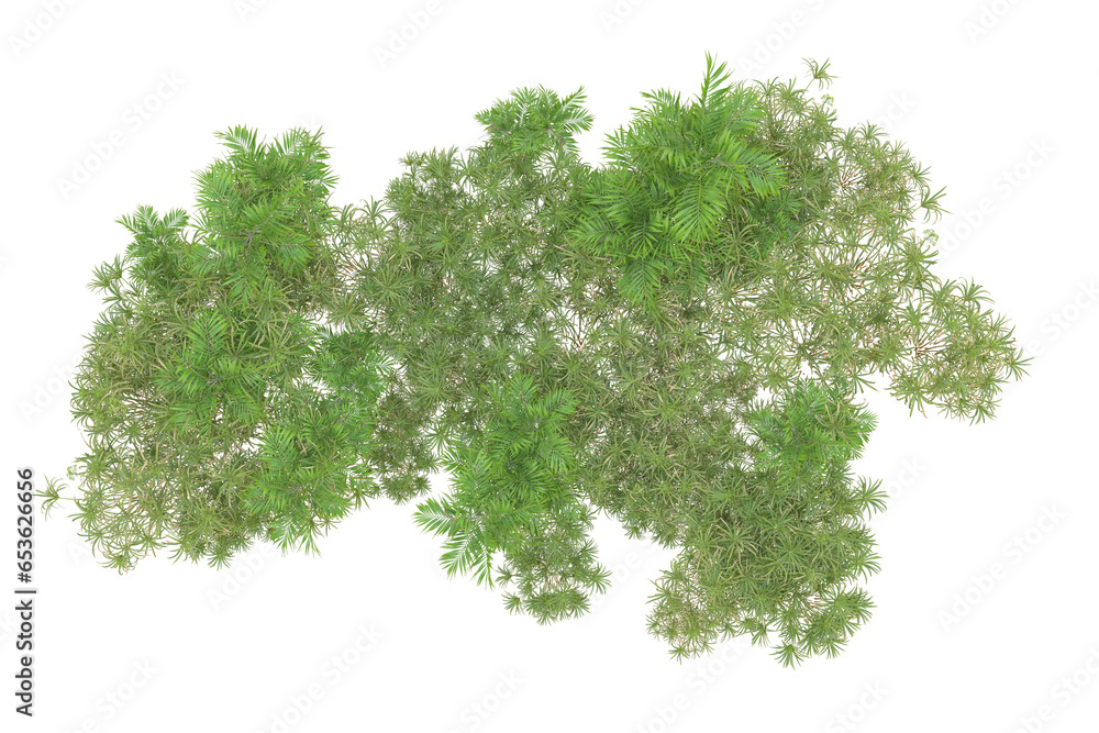 Naklejka premium Tropical forest isolated on transparent background. 3d rendering - illustration