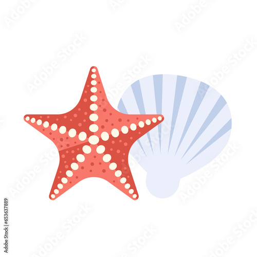 Starfish and shell