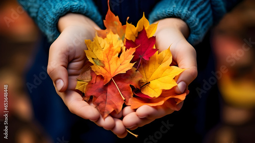 autumn leaves in hands, lose - up of child's hands holding a bouquet of colorful fall maple leaves