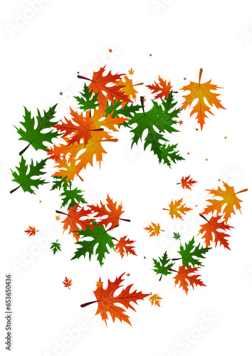 Wallpaper Mural Ocher Floral Background White Vector. Leaf Canadian Pattern. Gold September. Bright Texture. Brown Leaves Collection. Torontodigital.ca