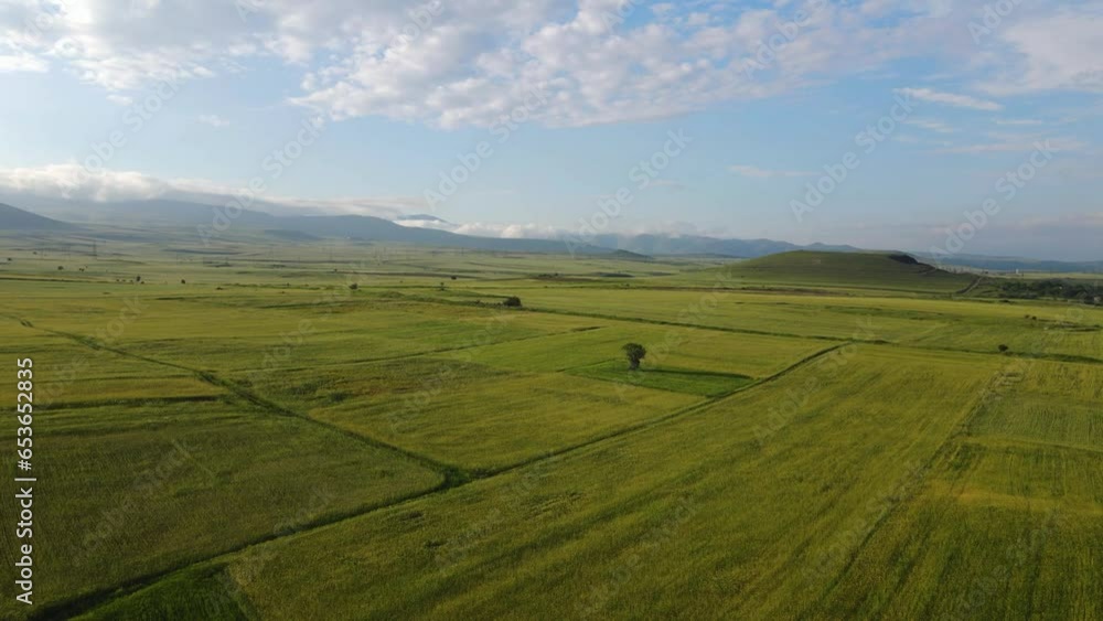 Aerial view green field, cultivated lands. Drone view cultivated lands in Armenia, Caucasus. Aerial view green field, cultivated lands. Drone view cultivated lands in Armenia, Caucasus.