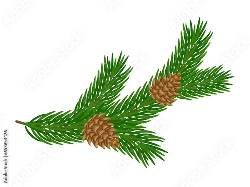 Icon green Christmas tree and pine branch with brown pine cones isolated on transparent and white background. Realistic closeup element for holiday design decoration. Holiday vector flat illustration.