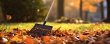 The Meticulous Act Of Raking Fallen Leaves In The Garden During The Autumn Season Focusing On The Detail Of The Rake . Сoncept Advantages Of Raking Leaves, Preparing Your Garden For Winter