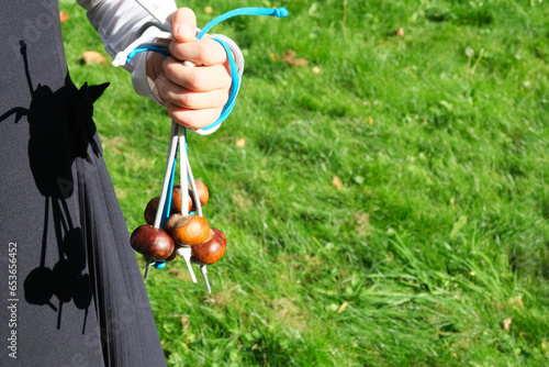 Little Girl holds in her hand a bunch of Conkers on strings. Outdoor leisure activity. Conkers a traditional children's game played using the seeds of Horse Chestnut trees.