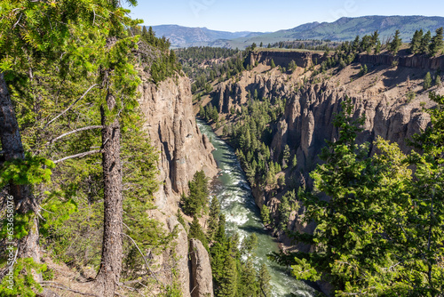Deep Yellowstone River canyon with pinnacles in the Yellowstone National Park, Wyoming