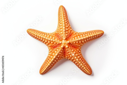  Starfish isolated on white background
