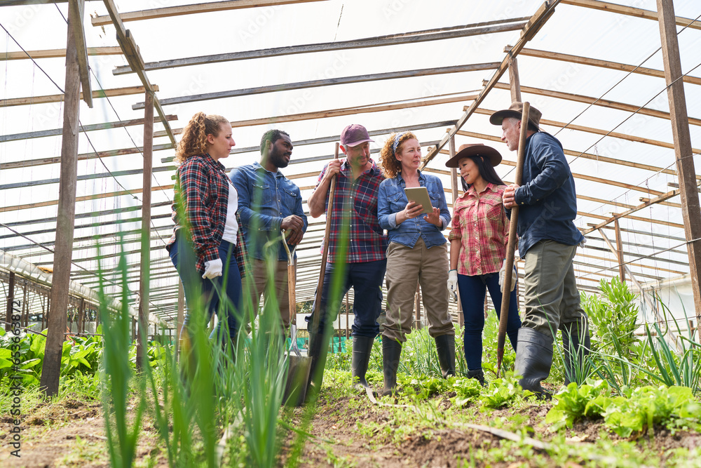© Robert Kneschke - Multiracial farmers discussing over digital tablet at greenhouse